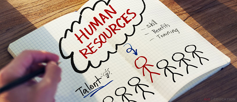 ľudské zdroje